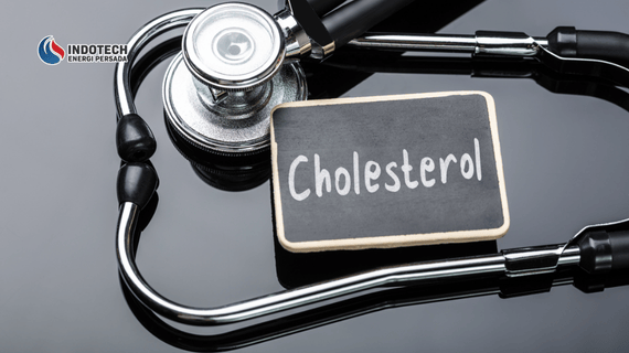 Alasan Air Hangat Disebut Dapat Membantu Menurunkan Kolesterol