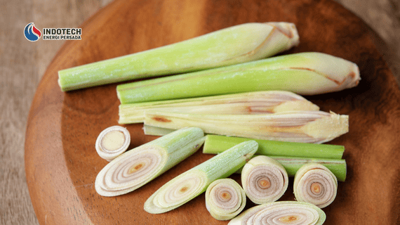 Alasan Banyak Orang Mulai Menggunakan Serai untuk Mandi